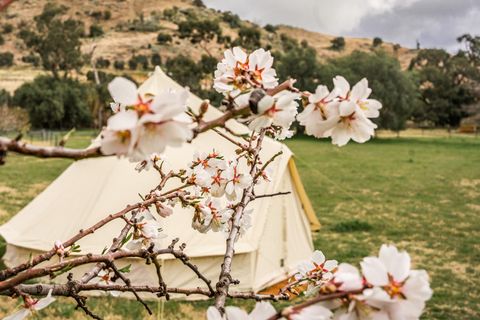 lapaloma firepit-24.jpg