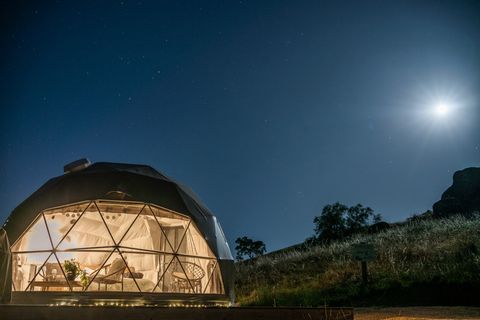 peppertree night-07.jpg