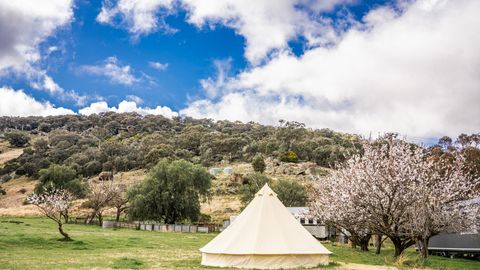 lapaloma firepit-25.jpg