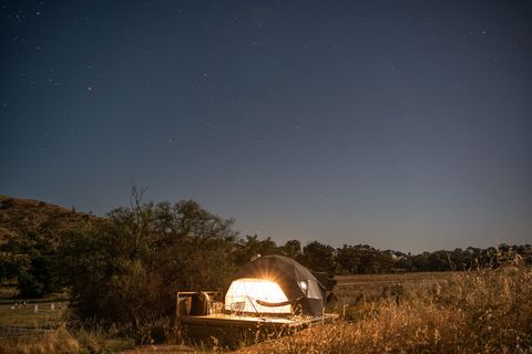 peppertree night-14.jpg