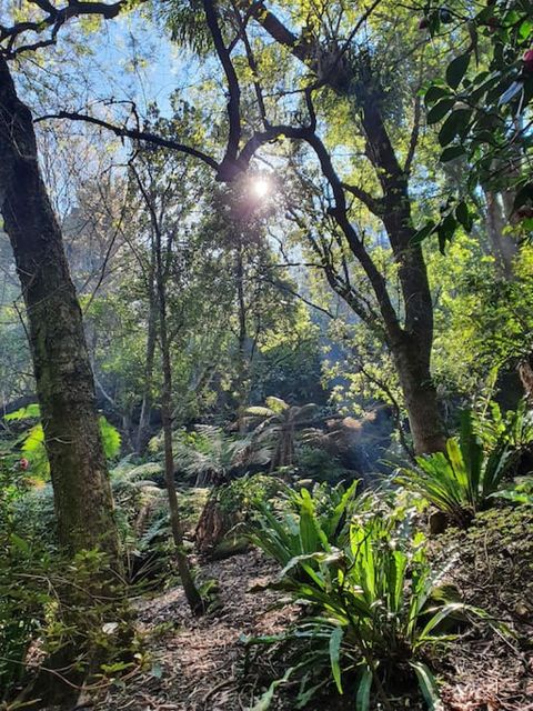 Nearby Lisgar Gardens (you can walk there from our house)