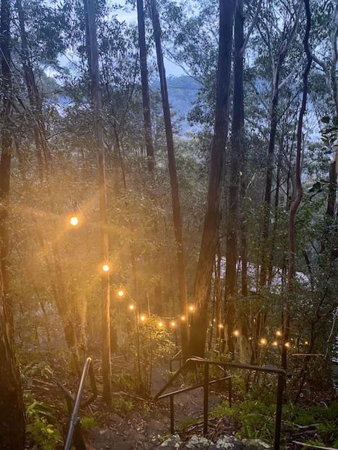 Fairy light stairs down to the house through the forest