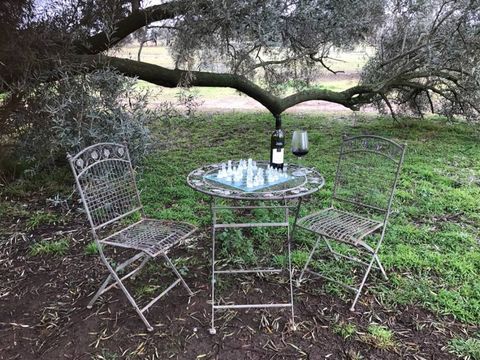 Enjoy a glass of local wine under the Olive tree.