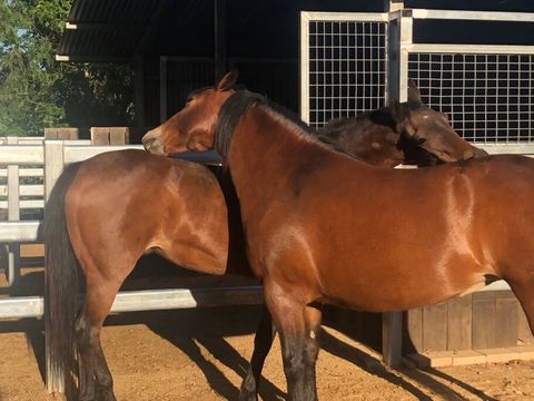Dolly and Verity .. morning ritual.